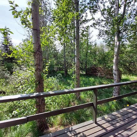 Bakkakot 3 Cozy Cabin In The Woods Akureyri Exterior photo
