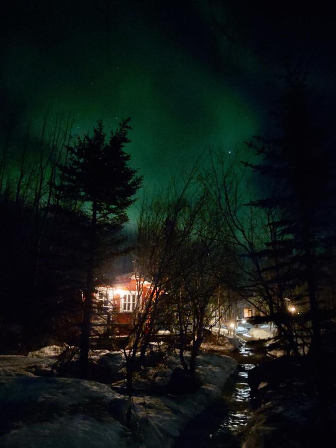 Bakkakot 3 Cozy Cabin In The Woods Akureyri Exterior photo